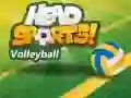 Logħba Volejbol Head Sports onlajn Logħba Volejbol Head Sports onlajn