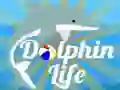 Logħba Ħajja tad-Delfin onlajn