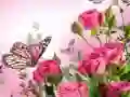 Logħba Puzzle tal-Buħħa onlajn Logħba Puzzle tal-Buħħa onlajn