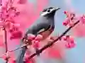 Logħba Birds Ġeħdin onlajn Logħba Birds Ġeħdin onlajn