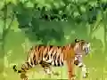 Logħba Kulur Tiger Irabja onlajn