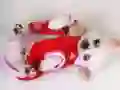 Logħba Slajd tal-Puppy Għażiż onlajn