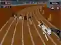 Logħba Crazyl Dog Racing Fever  onlajn