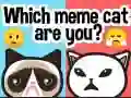 Logħba Liema kat meme int? onlajn