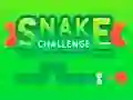 Logħba Sfida Snakes onlajn Logħba Sfida Snakes onlajn
