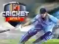 Logħba Cricket 2020 onlajn Logħba Cricket 2020 onlajn