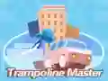 Logħba Master tal-Trampolin onlajn Logħba Master tal-Trampolin onlajn