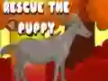 Logħba I救 il-puppy onlajn Logħba I救 il-puppy onlajn