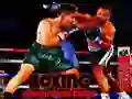Logħba Lotta tal-Kampjuni tal-Boxing onlajn Logħba Lotta tal-Kampjuni tal-Boxing onlajn