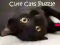 Logħba Wastan Cute Kitty onlajn Logħba Wastan Cute Kitty onlajn