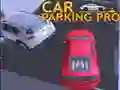 Logħba Parkjar Pro onlajn Logħba Parkjar Pro onlajn