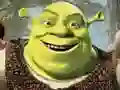 Logħba Kollezzjoni tal-Puzzle Shrek onlajn Logħba Kollezzjoni tal-Puzzle Shrek onlajn
