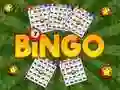 Logħba Bingo Rivelat onlajn Logħba Bingo Rivelat onlajn
