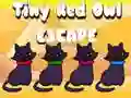 Logħba Iż-żgħir Red Owl Escape onlajn Logħba Iż-żgħir Red Owl Escape onlajn