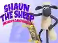 Logħba Shaun is-Sew: Logħba ta’ Memorja onlajn