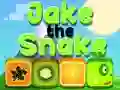 Logħba Jake Is-Sriep onlajn