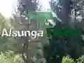 Logħba Ritorna fil-Foresta ta' Alsunga onlajn Logħba Ritorna fil-Foresta ta' Alsunga onlajn