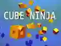 Logħba Ninja tal-Kub onlajn Logħba Ninja tal-Kub onlajn