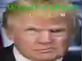 Logħba Trump Wċaħaq Divertenti onlajn Logħba Trump Wċaħaq Divertenti onlajn
