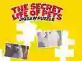 Logħba Il-Ħajja Sigrieta tal-Annimali Domestiċi: Puzzle onlajn Logħba Il-Ħajja Sigrieta tal-Annimali Domestiċi: Puzzle onlajn