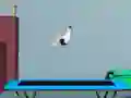 Logħba Flip fuq Trampolin onlajn Logħba Flip fuq Trampolin onlajn