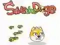 Logħba Ssalva d-Doge onlajn Logħba Ssalva d-Doge onlajn