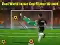 Logħba Kupa tad-Dinja tal-Futbol Reali Flicker 3D 2023 onlajn