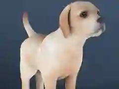 Logħba Pet passiv onlajn