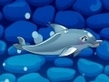 Logħba Il-Show tad-Dolphin Tiegħi 5 onlajn
