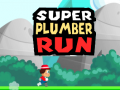 Logħba Super Plumber Run onlajn
