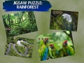 Logħba Puzzle Foresta Tax-Xita onlajn