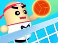 Logħba Pallavolo Amazing onlajn