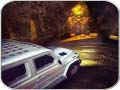 Logħba Simulatur ta' Ġestjoni ta' Karozzi Spooky onlajn