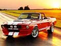 Logħba Difrenzi ta' Mustang Fancy onlajn