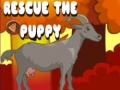 Logħba I救 il-puppy onlajn