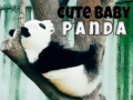 Logħba Panda Tat-tfal Ġuż onlajn