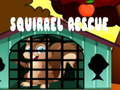 Logħba Salvataġġ Squirrel  onlajn