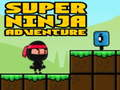 Logħba Super Avventura Ninja onlajn