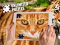 Logħba Puzzles mingħajr limiti onlajn