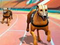 Logħba Races ta' Klieb 3D onlajn