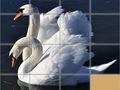 Logħba Puzzle ta' Ħlejqa onlajn