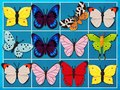 Logħba Re tal-Mahjong onlajn