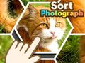 Logħba Sortja tal-Fotografiji onlajn