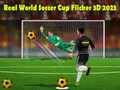 Logħba Kupa tad-Dinja tal-Futbol Reali Flicker 3D 2023 onlajn