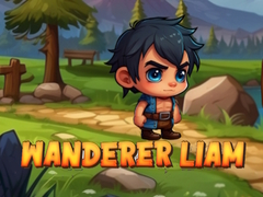 Logħba Vagabond Liam onlajn