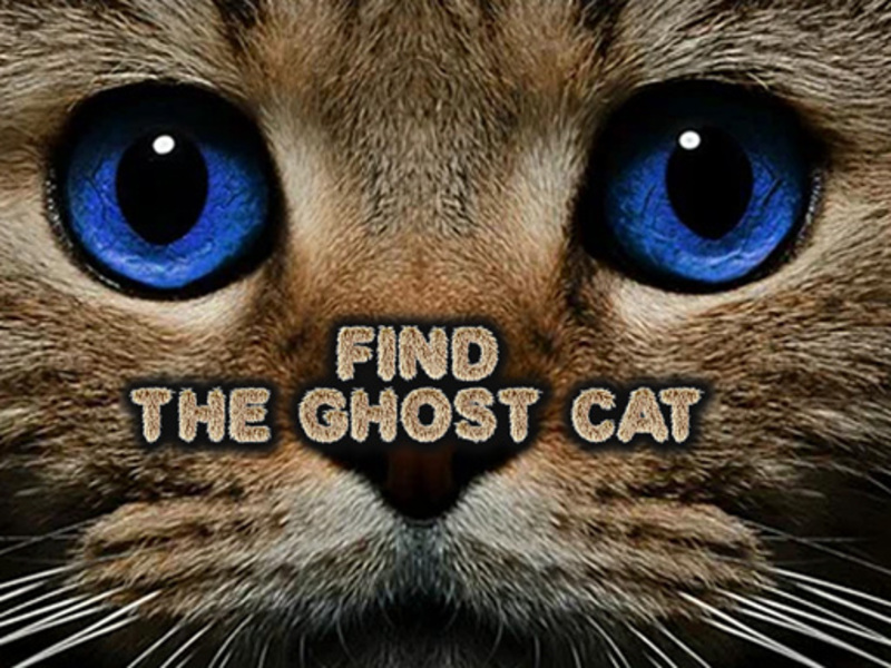 Logħba Sib il-qattus ghost onlajn