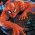 spider man spider man online